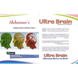 Ultra Brain